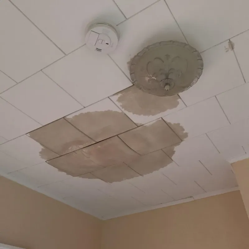 Ceiling Water Damage Repair in Deerfield, IL
