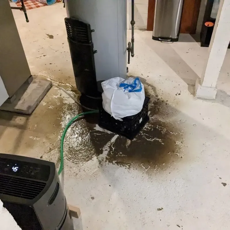 Sewage Backup Cleanup Service in Deerfield, IL